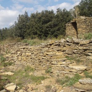 LE SENTIER DES PAYSANS BÂTISSEURS, ENTRE CULTURES ET APICULTURE