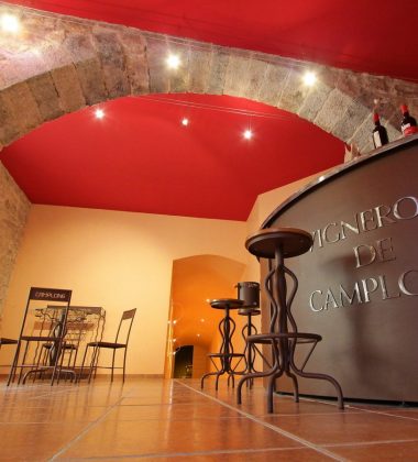 LES VIGNERONS DE CAMPLONG