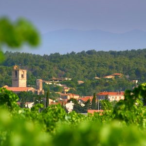 LE CONTI
