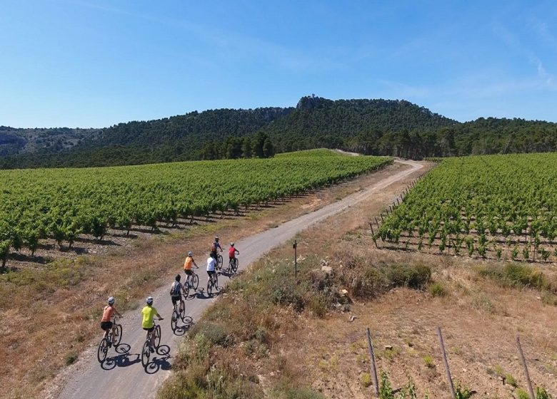 LANGUEDOC VTT ÉVASION